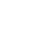 Key Insights